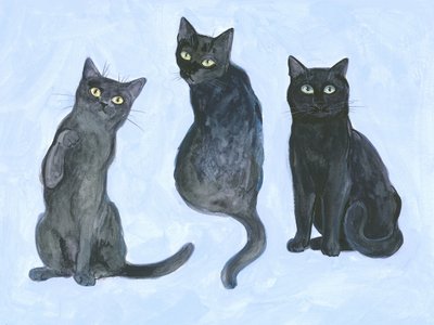 Studie dreier Katzen von Isabelle Brent