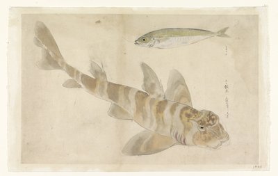 Zwei Fische: Knurrhahn (?) und Hering von Ishikawa Kazan