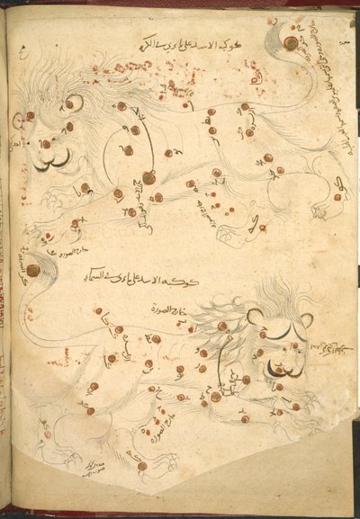 Zwei Löwen, Illustration aus 
