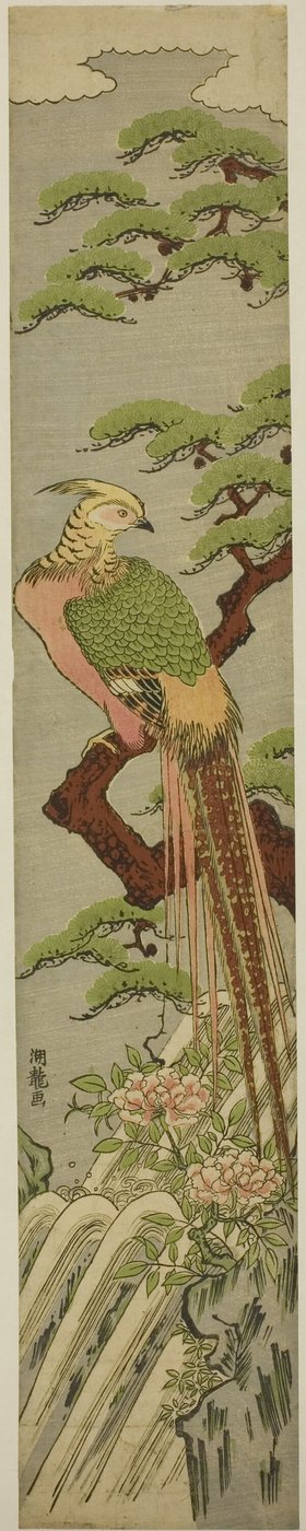 Goldfasan auf einem Kiefernbaum über Pfingstrosen und Wasserfall von Isoda Koryusai