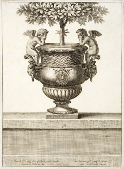 Bronzene Urnen für Zitrusbäume, Illustration aus 