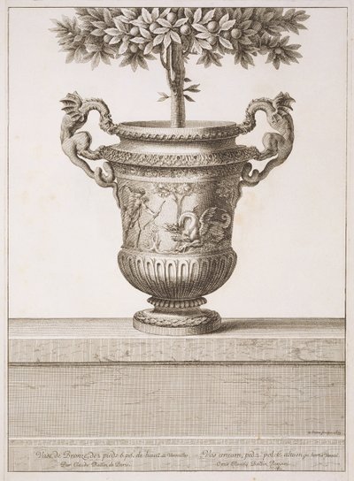 Bronzene Urnen für Zitrusbäume, Illustration aus 