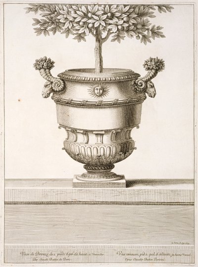 Bronzene Urnen für Zitrusbäume, Illustration aus 