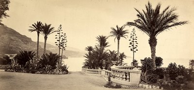 Der Garten des Casinos von Montecarlo, im Fürstentum Monaco von Italian Photographer