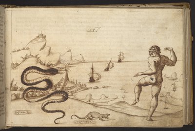 Add. 82955, f.115 Schlange (