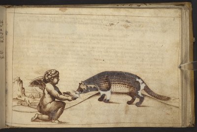 Cherub und eine Kreatur, aus Historia Animalium von Italian School