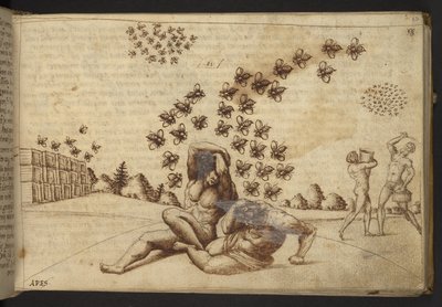 Add. 82955, f.60 Bienen (
