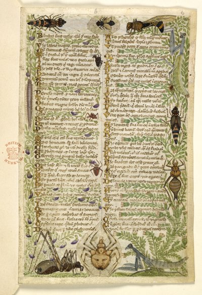 Blätter aus einer Prosabehandlung über die sieben Laster und ein Vers über Ereignisse aus der Geschichte Siziliens zur Zeit Friedrichs II., von Cocharelli, ca. 1330-40 von Italian School