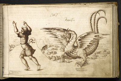 Drache aus 