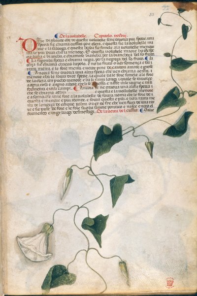 Winde, Illustration aus 