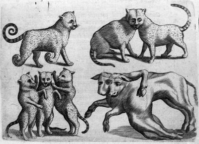 Verschiedene Arten von Monstern: Katzen und Kühe mit mehreren Körpern. Gravur aus „De monstrorum natura, causis et differentiis“ von Fortunio Liceti (1577-1656), italienischer Wissenschaftler. 1646 von Italian School