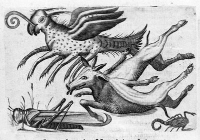 Verschiedene Arten von monströsen Tieren. Gravur aus „De monstrorum natura, causis et differentiis“ von Fortunio Liceti (1577-1656), italienischer Wissenschaftler. 1646 von Italian School