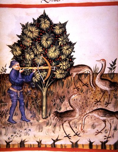 Fol.70v Kranichjagd, Illustration aus 
