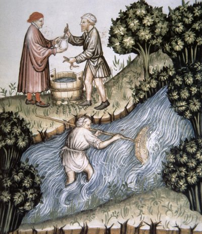 Fischen, Illustration aus Tacuinum Sanitatis Codex Vindobonensis von Italian School