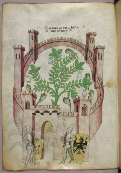 Illustration des Balsamgartens von Kairo (Fustat), mit sieben Wasserbecken und Krügen, um den Balsam zu fangen, eine Pflanze in der Mitte, mit zwei Rittern in Rüstung, die das Tor flankieren, mit Schilden mit Wappen, um 1440 von Italian School