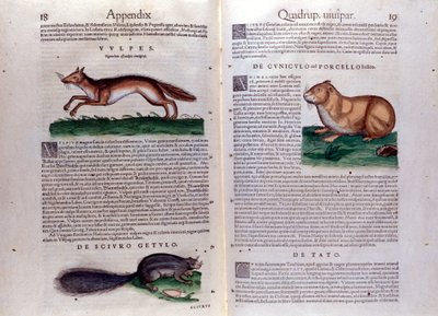 Illustrationen aus 