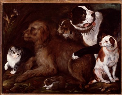 Medici-Hunde, mit einer Katze und einem Kaninchen aus der italienischen Schule von Italian School