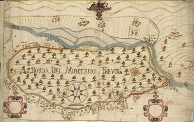 Montello, Karte, 18. Jahrhundert, Venetien, Italien von Italian School