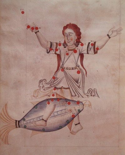 Ms.1036 Die Konstellation der Fische, aus 