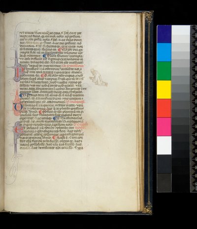 Ms 373. Pseudo-Cicero, Rhetorica ad Herennium und andere Werke, f.50r. Initialen mit Federverzierung und eine Federarbeit-Dekoration im Rand, die einen knienden barfüßigen Mönch darstellt, ca. 1337 von Italian School