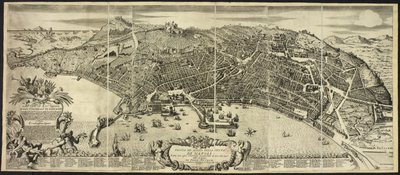 Plan und Aufriss der Stadt Neapel ... von P. Petrini. Neapel von Italian School