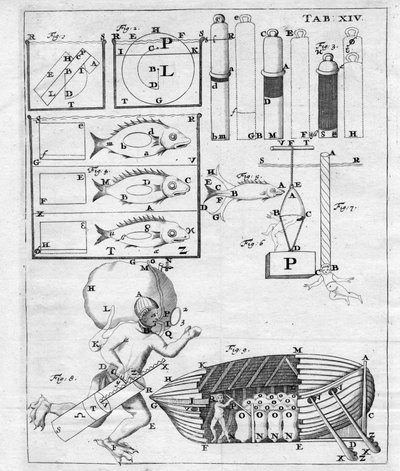 Studien zur Unterwassernavigation - in „De Motu Animalium“ von Giovanni Alfonso Borelli (1608 - 1679) von Italian School
