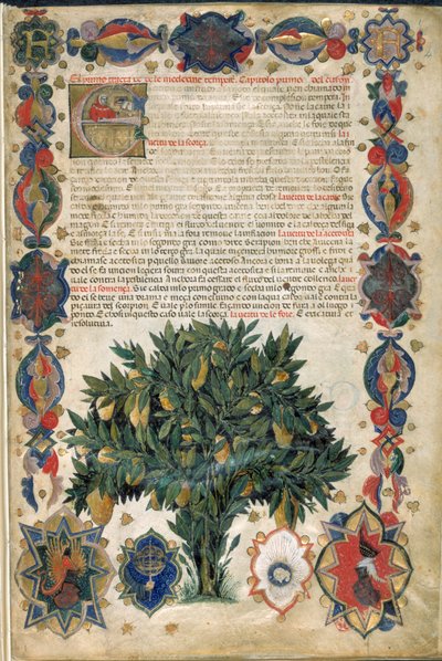 Textseite mit ornamentalen Rändern, Illustration aus 