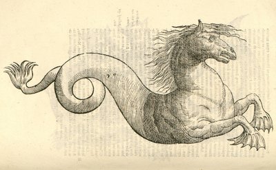 Illustration von Equus marinus monstrosus aus Aldrovandis Geschichte der Monster, 1642 von Italian School