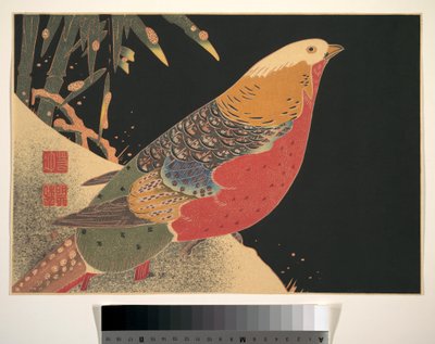 Goldfasan im Schnee, um 1900 von Ito Jakuchu