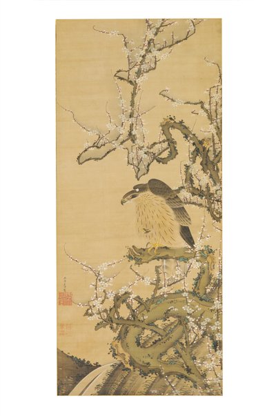 Umetaka-zu (Falke auf einem blühenden Pflaumenzweig) von Ito Jakuchu