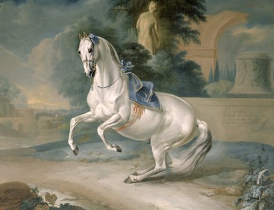 Der weiße Hengst 