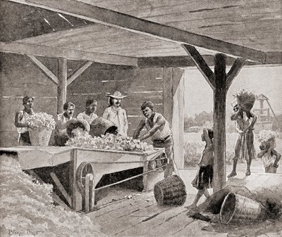 Sklaven arbeiten mit einer Baumwollentkörnungsmaschine aus dem 19. Jahrhundert auf einer Plantage in einem südlichen Staat der Vereinigten Staaten von Amerika, aus 