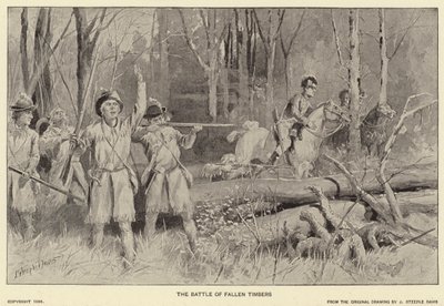 Die Schlacht von Fallen Timbers von J. (after) Steeple Davis
