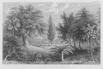 Obst- und Zierbäume von J. (after) Stewart