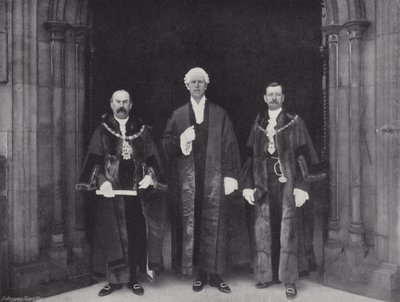 Einreichung von Petitionen an das Unterhaus von J. Benjamin Stone