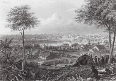 Australien: Brisbane von J. C. Armytage