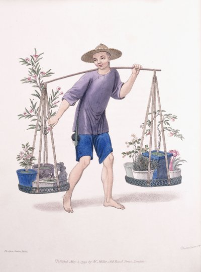 Ein Träger mit Obstbäumen und Blumen, ca. 1800-01 von J Dadley