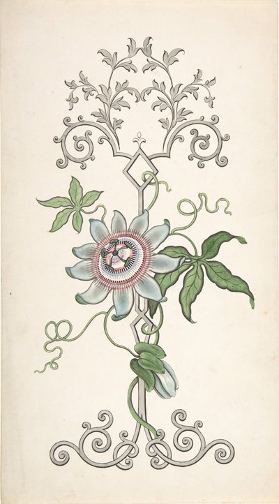 Entwurf für eine Paneeldekoration mit einer Passionsblume, 1828-40 von J Hulme