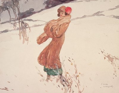 Im Schnee von J. MacWilson