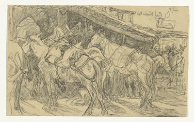 Maultiere und Esel auf dem Großen Markt in Tanger von Jac van Looij