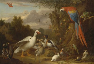 Ein Ara, Enten, Papageien und andere Vögel in einer Landschaft von Jacob Bogdani