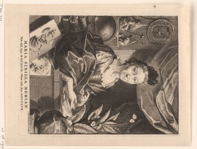 Porträt von Maria Sibylla Merian von Jacob Houbraken