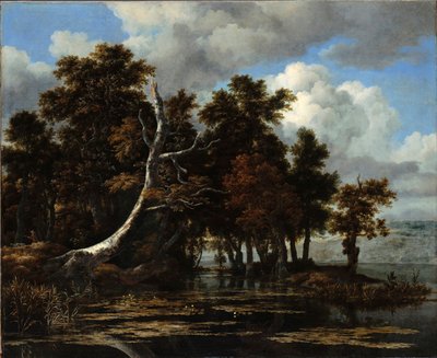 Eichen an einem See mit Seerosen von Jacob van Ruisdael