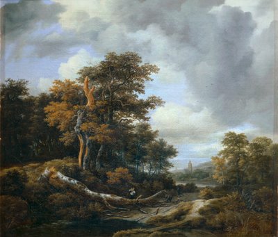 Eingang zu einem Wald von Jacob Isaaksz. or Isaacksz. van Ruisdael