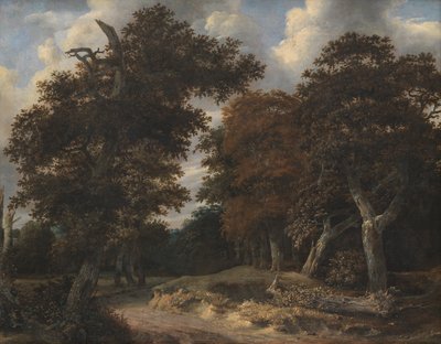 Straße durch einen Eichenwald von Jacob van Ruisdael