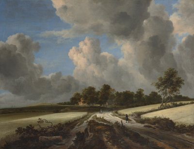 Weizenfelder von Jacob van Ruisdael