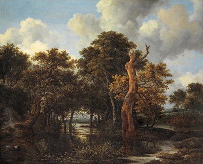 Holzmoorlandschaft mit totem Baum, ca. 1665 von Jacob van Ruisdael