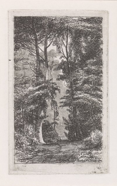 Waldweg von Jacob Jan van der Maaten