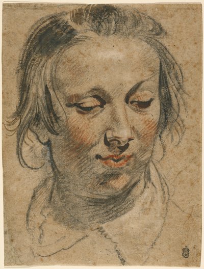 Kopf einer Frau von Jacob Jordaens