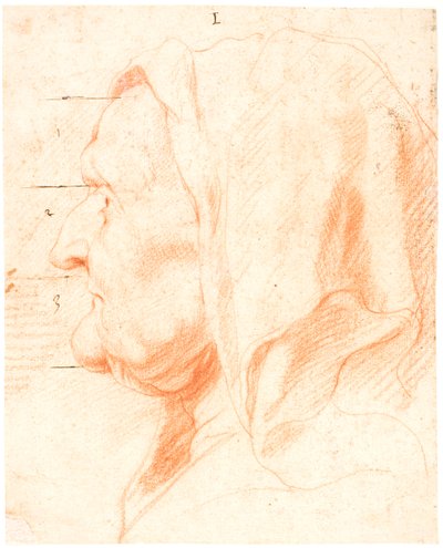 Kopf einer alten Frau im linken Profil von Jacob Jordaens